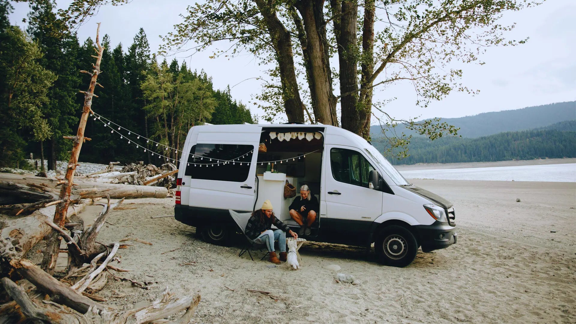 Ultimate Guide to Maximize the Comfort & Safety of Dog in RV