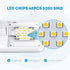 12V LED Doppelkuppelleuchte